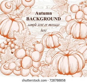 Pumpkin autumn background. Vector Line art hand drawn graphic style illustrations