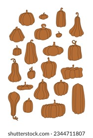 pumpkin autumn collection of colored beautiful. Cartoon pumpkins, halloween squash, fall harvest gourds. Thanksgiving. Pumpkins. Autumn thanksgiving and halloween pumpkins collection. Vector illustrat