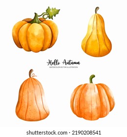 Pumpkin Autumn elements, Autumn or Fall season, Thanksgiving watercolor Vector illustration
