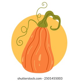 Pumpkin autumn fall thanksgiving isolated on white background. Vector flat graphic design illustration