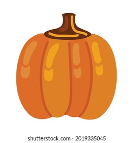 pumpkin autumn fruit seasonal icon