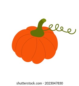 Pumpkin. Autumn Halloween or Thanksgiving pumpkin symbol.