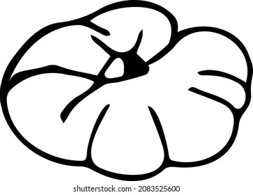 Pumpkin, autumn harvest. Sketch, doodle, black and white vector illustration drawn by hand.