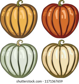 Pumpkin, autumn harvest. Vector drawing.