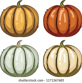 Pumpkin, autumn harvest. Vector drawing.