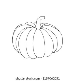 Pumpkin autumn illustration on the white background. Vector illustration