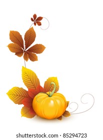 Pumpkin and autumn leaves, elements for your design.  Fruit and vegetable collection
