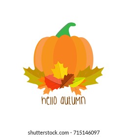 Pumpkin in autumn leaves on a white background. Vector illustration.