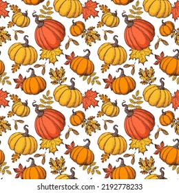 La calabaza y las hojas de otoño se caracterizan por un patrón sin fisuras. Ilustración vectorial. Antecedentes dibujados a mano.