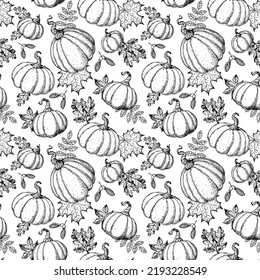 Pumpkin and autumn leaves seamless pattern. Vector illustration. Hand drawn background. Sketch style