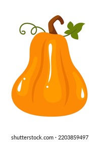 Pumpkin Autumn Plant. Vector illustration