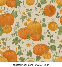 Pumpkin. Autumn Seamless pattern. Botanical vintage illustration. 