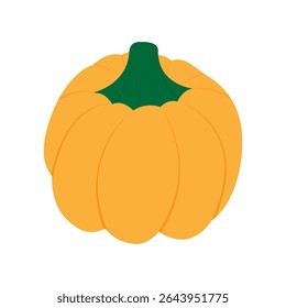 Pumpkin Autumn Seasonal Vegetable fruit Halloween and Thanksgiving main symbol Minimalist design