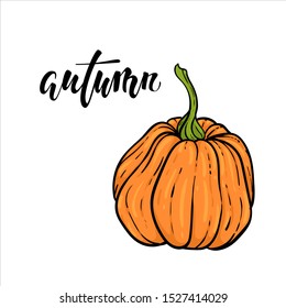 pumpkin and autumn text. Hand drawn calligraphy and brush pen lettering. design for greeting card and invitation of seasonal fall holidays, halloween, thsanksgiving, harvest