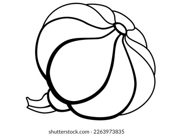 Calabaza otoño verdura tradicional - imagen lineal vectorial para colorear. Esquema. Frutos de calabaza con mango para el libro de colorear.