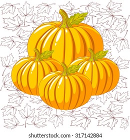 pumpkin autumn vector