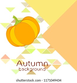 Pumpkin autumn vector background