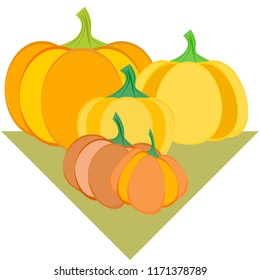 Pumpkin autumn vector background