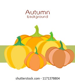 Pumpkin autumn vector background