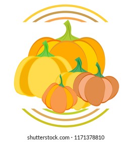 Pumpkin autumn vector background
