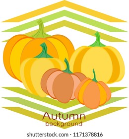 Pumpkin autumn vector background