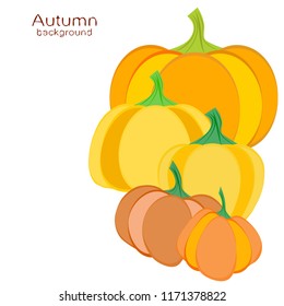 Pumpkin autumn vector background