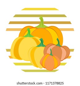 Pumpkin autumn vector background