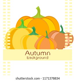 Pumpkin autumn vector background