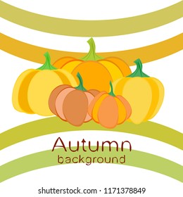 Pumpkin autumn vector background