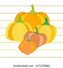 Pumpkin autumn vector background