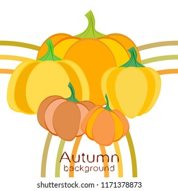 Pumpkin autumn vector background