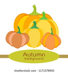 Pumpkin autumn vector background