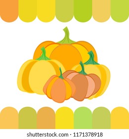 Pumpkin autumn vector background