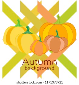 Pumpkin autumn vector background