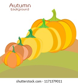 Pumpkin autumn vector background