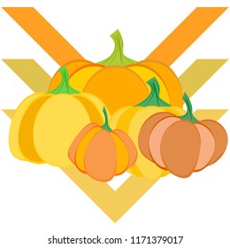 Pumpkin autumn vector background