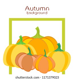 Pumpkin autumn vector background