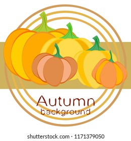 Pumpkin autumn vector background