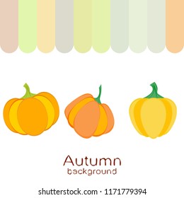 Pumpkin autumn vector background