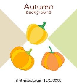 Pumpkin autumn vector background