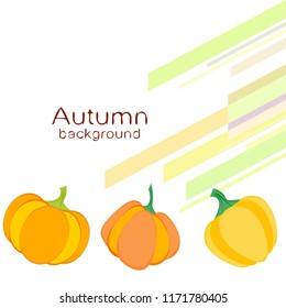 Pumpkin autumn vector background