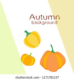 Pumpkin autumn vector background