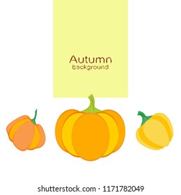 Pumpkin autumn vector background