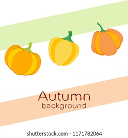 Pumpkin autumn vector background