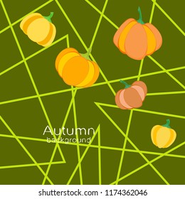 Pumpkin autumn vector background