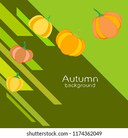 Pumpkin autumn vector background