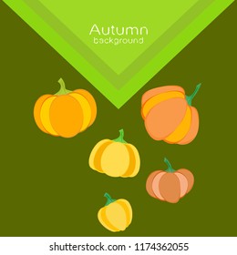 Pumpkin autumn vector background