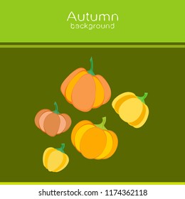 Pumpkin autumn vector background