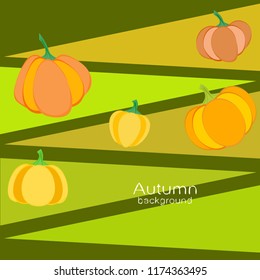 Pumpkin autumn vector background