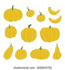 Pumpkin. Autumn vegetable. For fall decorative design, thanksgiving and halloween invitation, harvest flyer, textile. Vector flat cartoon illustration